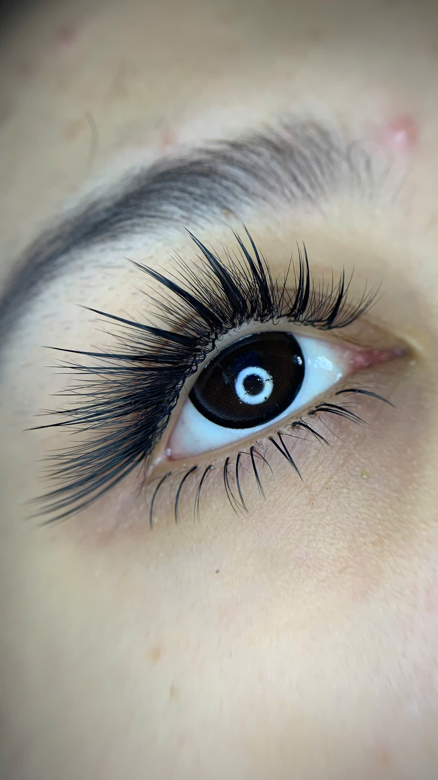 Ruby Eyelash Style 1